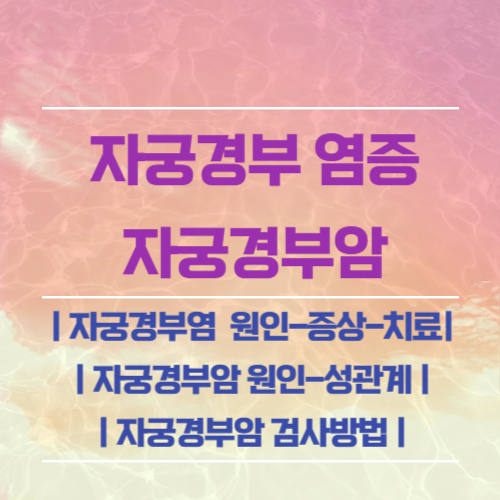 자궁경부염증,자궁경부암