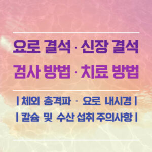 요로 결석, 신장 결석 | 결석 종류 | 검사방법 | 치료방법 5가지(충격파, 요로 내시경) | 예방 식이요법 - ONE ...