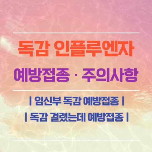 독감 인플루엔자 예방접종