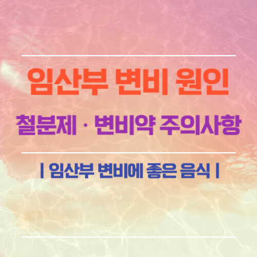 임산부 변비 원인