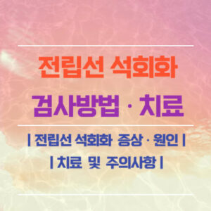 전립선 석회화
