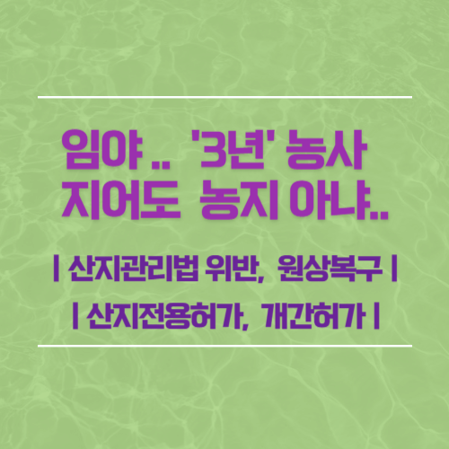 임야 3년 농사지어도 농지 아님